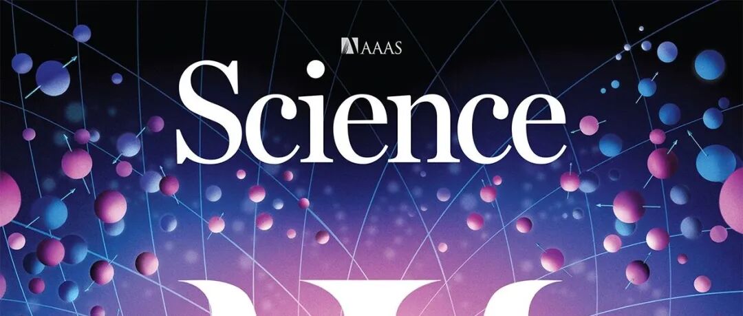 Science作者解读｜上海交大机器人研究所团队：“双连续相”介电弹性体人工肌肉