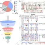 当AI遇上新材料：锁定“可合成”的交错磁多铁氮化物钙钛矿