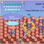 (纯计算)云南大学/南洋理工大学Angew. Chem. Int. Ed.：单原子合金催化剂中C-C偶联调控用于电化学CO2还原