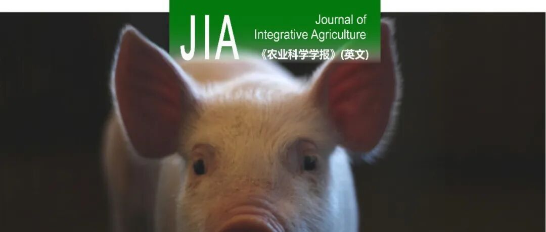 JIA优先上线 | 中国动物卫生与流行病学中心外来病监测与研究中心王志亮研究员团队综述：非洲猪瘟疫苗研发现状洞察与前沿趋势