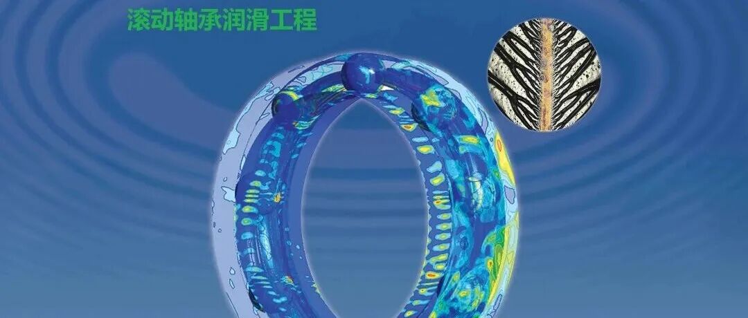脂润滑深沟球轴承的膜厚度——主曲线