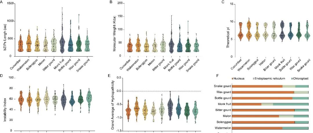 【作者解读】JAFC(IF 6.2) | 成都大学赵琦团队基于泛基因组研究方法解析葫芦科bZIP转录因子的进化动力学与功能多样性