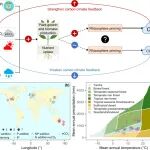 挑战传统观点！New Phytologist | 首次量化全球变化对根际激发效应的影响与机制