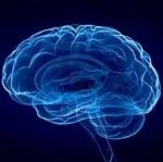脑科学/神经科学成果快速传播指南