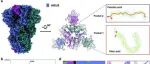 西湖大学周强等合作最新Nature子刊