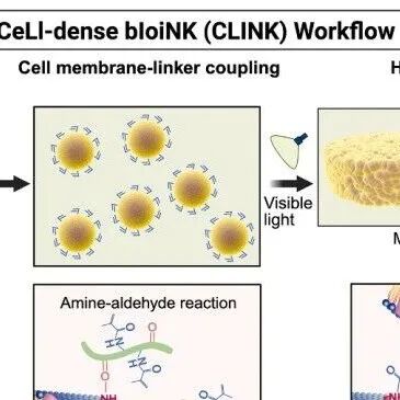 Cell | 同济+哈佛，新型生物墨水颠覆生物打印范式