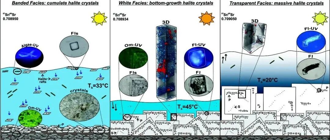 Geosci. Front. | 墨西拿期石盐相：地球化学、岩石学与流体包裹体研究对揭示石盐结晶作用与沉积环境的启示