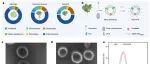 Nat Nanotechnol | 盛宗海/郑海荣等利用生物工程光合纳米类囊体成功重塑了类风湿性关节炎炎症微环境