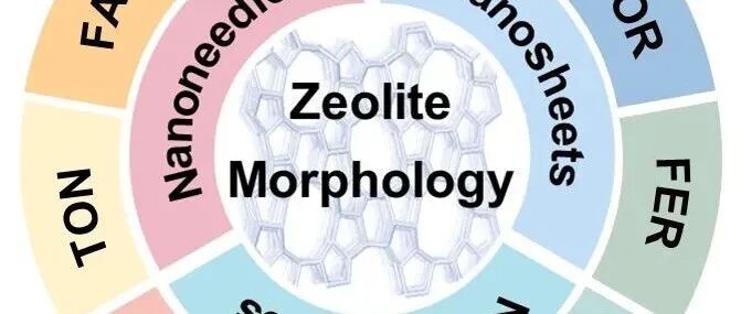 2025新锐科学家专刊 || 浙江大学吴勤明等：利用有机模板剂对沸石分子筛形貌调控的最新进展
