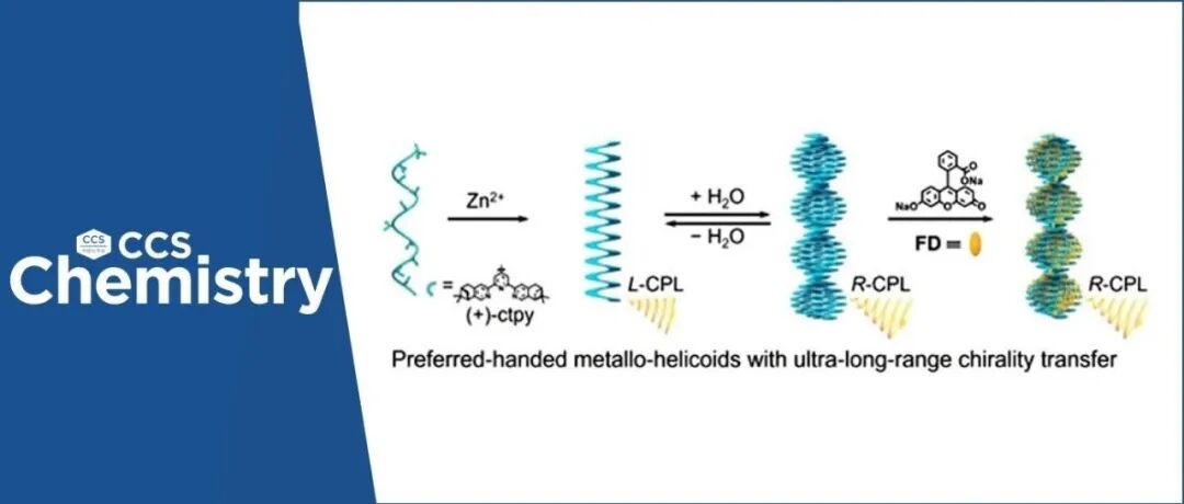 【CCS Chem.】深圳大学李霄鹏/於秀君团队:手性螺旋面配位聚合物的精准构筑与多层次跨尺度手性传递