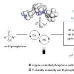 厦大龚磊教授：光/铜协同催化实现磷自由基高效转化构筑磷手性中心
