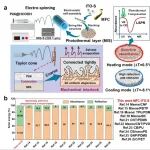 中国科学院宁波材料技术与工程研究所：纤维素基功能材料提升被动式日间热管理