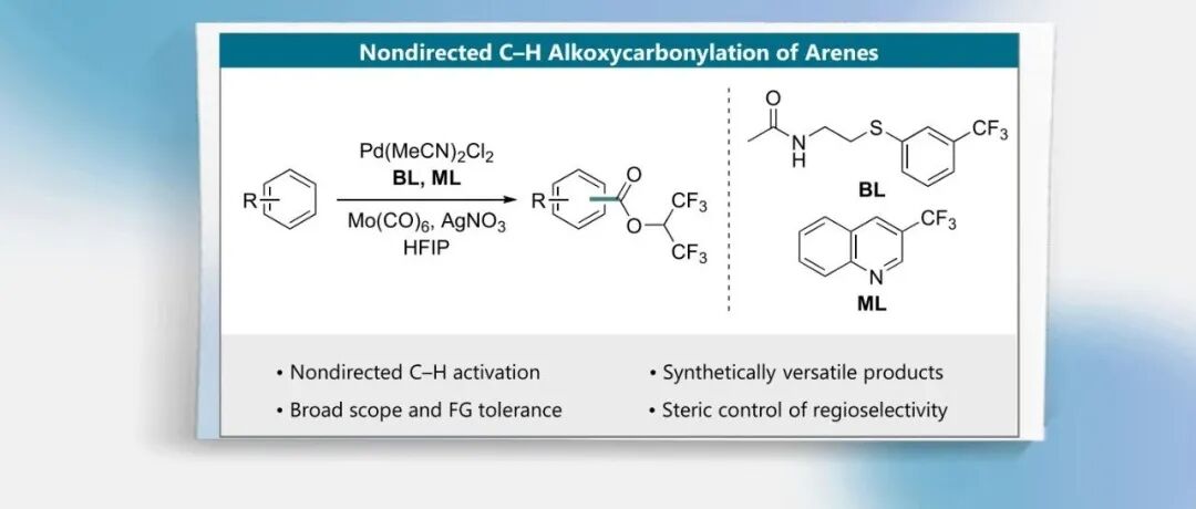 【JACS Au】基尔大学Manuel van Gemmeren团队：钯(II)催化芳烃的非导向C(sp²)−H烷氧羰基化反应