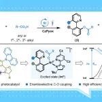 【Angew. Chem.】上海交通大学刘家旺课题组：双功能光活性手性配体促进的可见光和镍协同催化的不对称C−O偶联