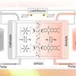 【JACS】南京大学金钟：多电子转移的醌-吡嗪共轭氧化还原核心用于超稳定和高能量密度的水系有机液流电池