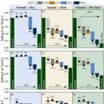 AFM | 西北农林科技大学简金世教授团队揭示水分胁迫下半干旱草原碳汇衰减机制