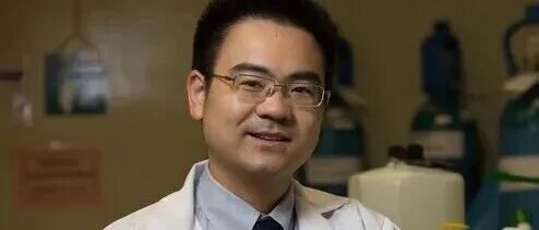 「成就达成」！继101篇Angew之后，楼雄文院士，第15篇JACS！