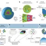 研究进展：异质图神经网络-稀土发光材料逆向设计 | Nature Computational Science