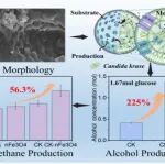 中科院城市环境所杨佳诚、大连理工大学赵智强ACS SCE：纳米Fe&#8323;O&#8324;固定酵母强化原位产醇促进厌氧消化产甲烷