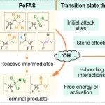 西湖大学张岩岩实验室ES&T：羟基自由基（&#8226;OH）转化降解多氟烷基化合物（PoFAS）的反应机制与产物特征