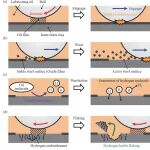 文献导读│润滑油分解产氢机理及其对氢脆剥落的影响