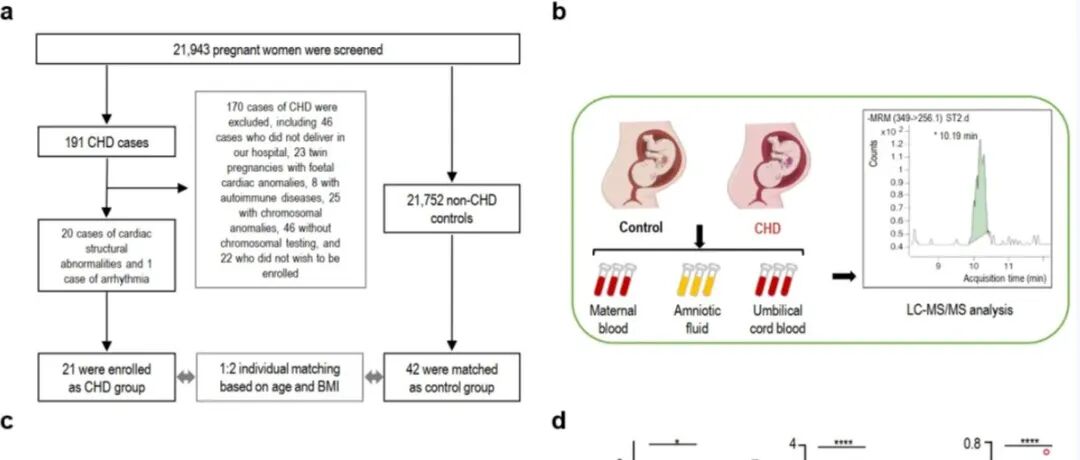 NSR | 孕妇应当远离塑料瓶？许志宏团队揭示塑料添加剂双酚芴可能是胎儿先天性心脏病的重要危险因素