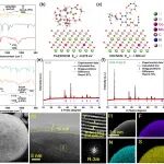 中南大学联合飞扬骏研AFM：新型富盐聚脲包覆层构筑先进的固态电池9系三元高镍正极