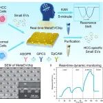 ACS Nano | 李伯安等团队搭建表面增强型细胞外囊泡检测芯片可在5分钟内完成肝癌特异性细胞外囊泡检测