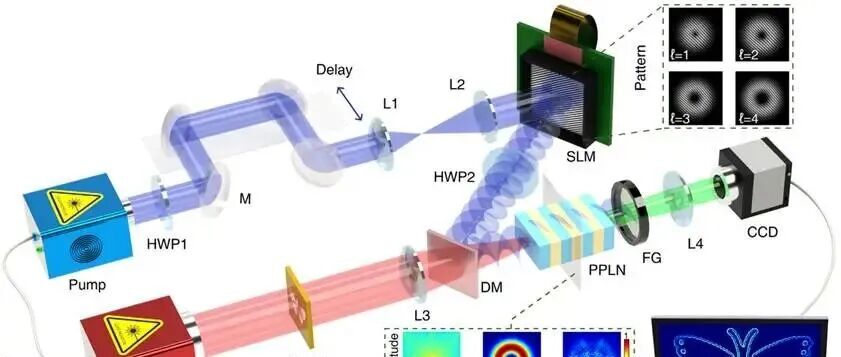 华东师范 曾和平、黄坤团队LPR：中红外高阶非线性拓扑微分成像