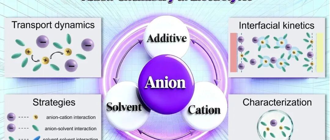 2025新锐科学家专刊 || 香港城市大学徐吉健团队：高比能电池电解液中的阴离子化学