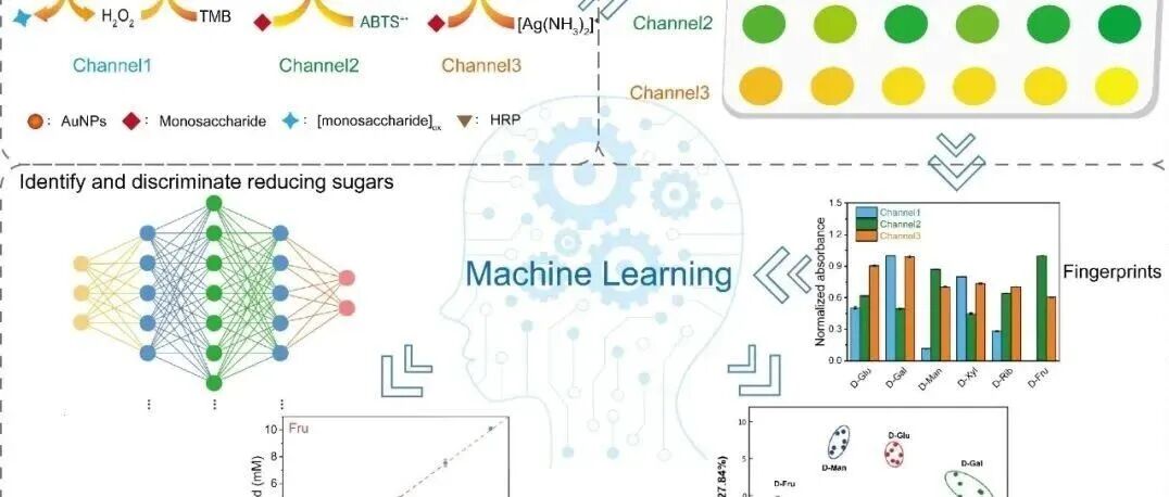 《Food Chem.》新进院士利用机器学习+纳米酶攻克多年难题，教科书式成果公布！
