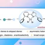 【JACS】南科大舒伟：共轭二烯直接合成手性非共轭二烯—钴催化二烯和炔烃的不对称交叉氢二聚