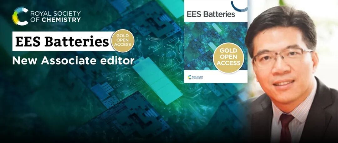 热烈欢迎张山青教授担任 EES Batteries 副主编