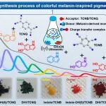 川大李乙文团队 Matter：超越自然 - 色彩斑斓的新概念黑色素材料