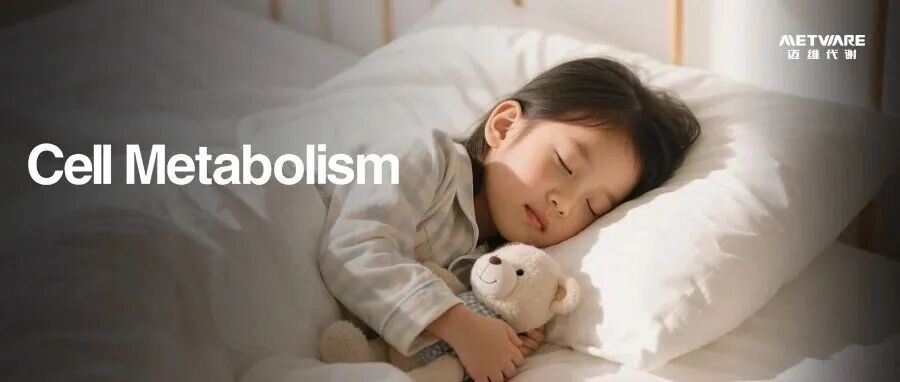 Cell Metab | 睡不好的根源在肠道？广州中医药大学揭示：这种氨基酸通过代谢物节律，远程指挥大脑睡眠