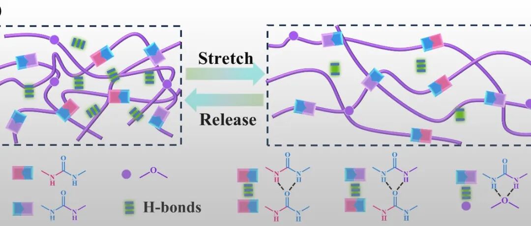 北京化工大学岳冬梅教授团队 AFM：兼具卓越室温自修复、可回收与极端温度力学稳定性的高强度聚脲弹性体