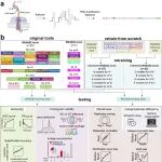 Nat Methods |&#160;史偈君团队开发三代测序检测RNA修饰的算法基准平台，为多种修饰检测提供权威指南