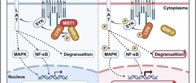IF=20！浙江大学张园园/王青青/周以侹合作取得新进展