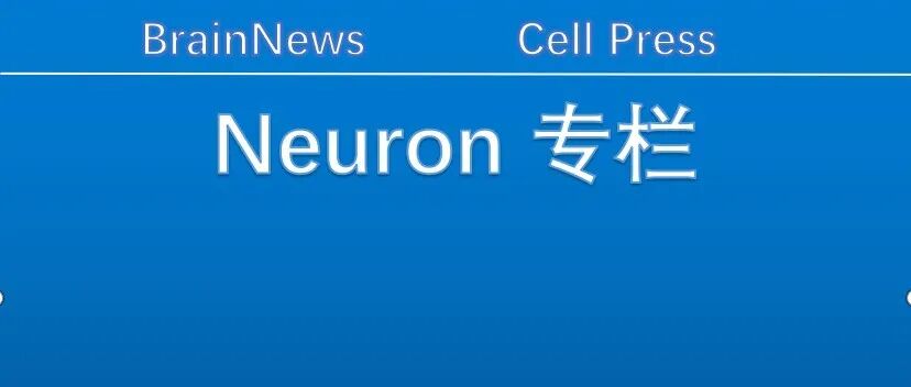 Neuron：复旦倪金飞/段树民/谭超团队揭示交感功能单元的细胞与组织形式