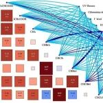 同济大学徐斌课题组WR：当紫外线遇上氯胺，碘化消毒副产物如何"悄悄"生成？机器学习揭示反应机制