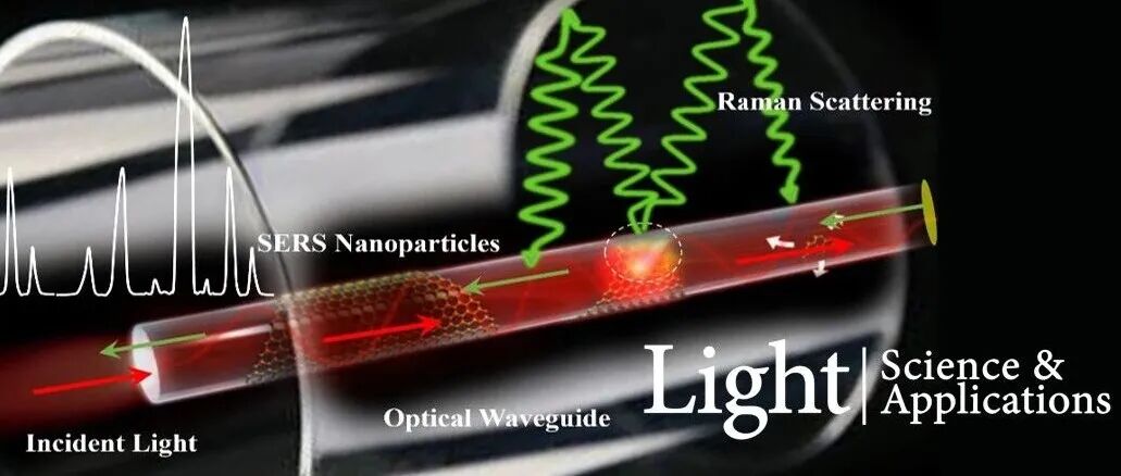 孟浩然/洛猛等 Light 综述 | 光谱传感新范式：SERS-光波导融合与AI赋能的超灵敏检测革命