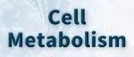 Cell Metab | 特异性清除衰老内皮细胞可缓解肥胖小鼠的代谢失调