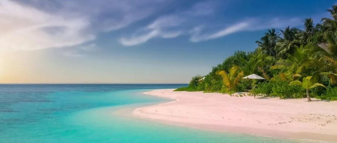 从“卡脖子”到“闯新路”：贸易摩擦如何倒逼中国创新