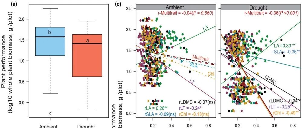 植物性状如何响应多样性与空间分布？华东师大Shekhar R. Biswas 教授团队揭示环境变化下的生态机制