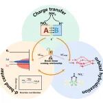 昆明理工大学胡觉教授AEM综述：界面电子效应重塑电催化硝酸盐还原合成氨，开启绿色能源革命新篇