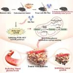 JACS：氧代阿朴啡-二甲双胍铑（III）混合配合物可通过干扰葡萄糖代谢重编程产生抗糖尿病和抗癌双重效果