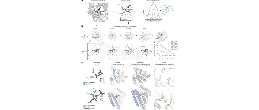 文献分享| Nature Methods：基于RFdiffusion2的原子级别酶活性位点支架构建