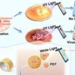 Adv Sci | 昆明医科大学廖玉辉等开发基于AIEgen的猴痘防控主动预警系统及精准治疗策略