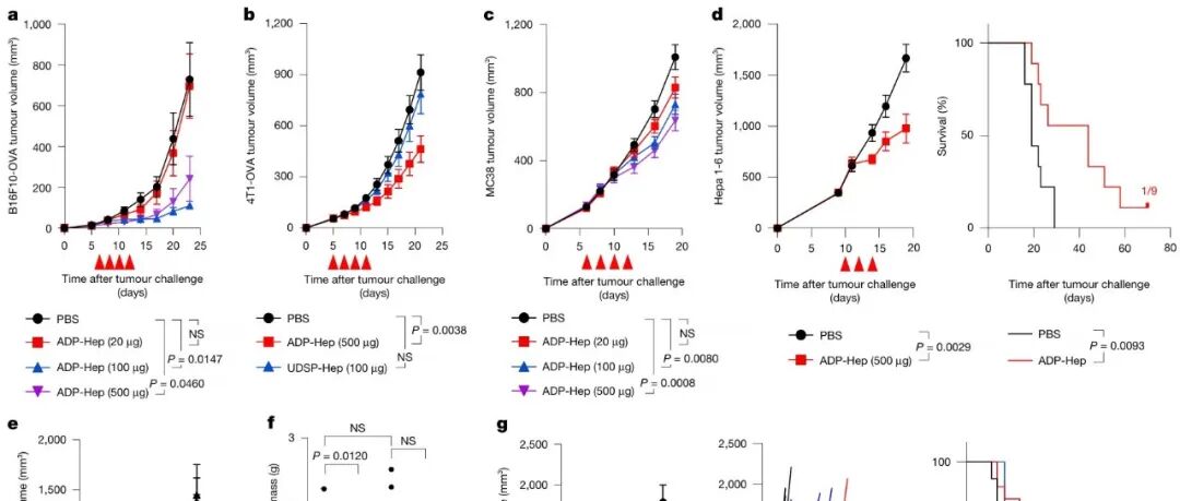 邵峰团队再发Nature