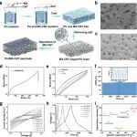 AFM | 吉林大学孙俊奇教授课题组：具有高拉伸稳定性与室温自修复能力的完全可回收全固态超级电容器